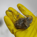 A hand wearing a yellow rubber glove holding hair that clogged a drain